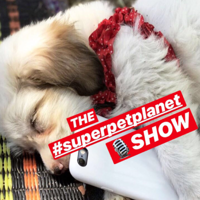 Superpetplanet