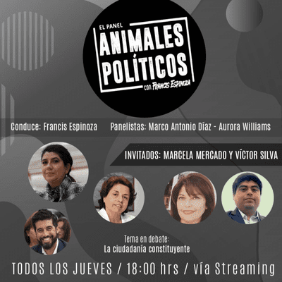 episode Animales Políticos - Capítulo 4 Temporada 1 artwork