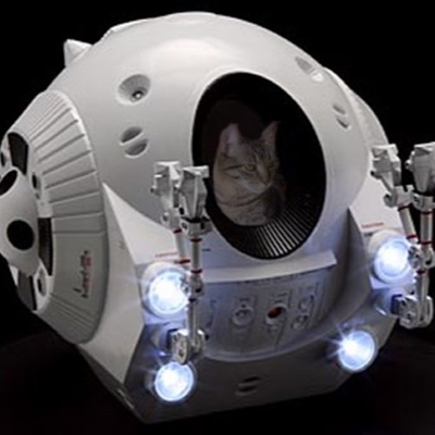 Podcat