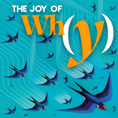 episode How Is Flocking Like Computing? artwork