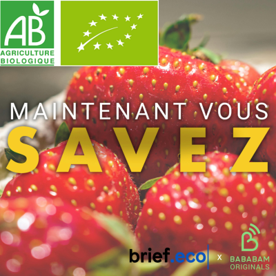 episode Quelle a été la première enseigne de produits bio créée en France ? artwork