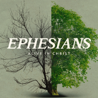 episode Bless Him Because He Chooses Us | Lee Eric Fesko | June 1, 2025 artwork