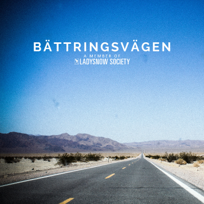 episode 09. Sapiens, Garry Shandling och A Swedish Theory of Love artwork