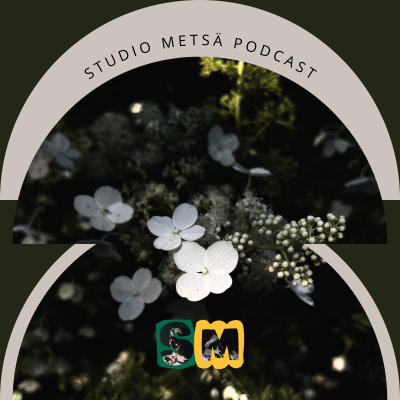 episode 60. Piipiti piipiti, keho piipittää artwork