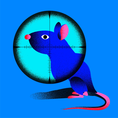 episode Invasive Arten - Rattenjagd für Vogelschutz artwork
