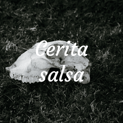 Cerita salsa