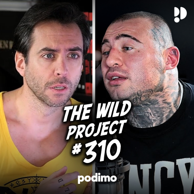 episode The Wild Project #310 - Zdravko | Una vida de violencia, Peleas en la calle reales, Hooligans, DWT artwork