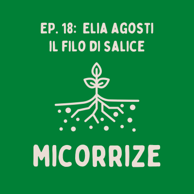episode Elia Agosti - Il Filo di Salice artwork