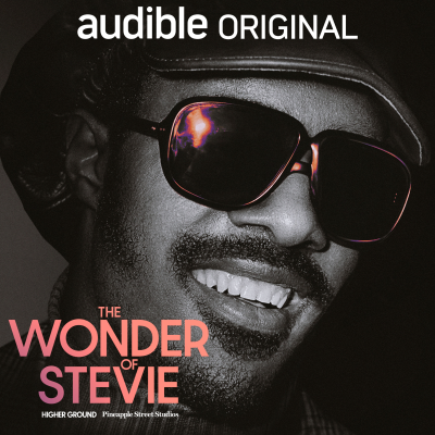 episode Music of My Mind from 'The Wonder of Stevie' artwork