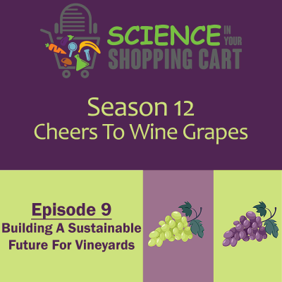 episode Season 12: Cheers To Wine Grapes | Episode 9: Building A Sustainable Future For Vineyards artwork