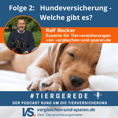episode Folge 2: Tiergerede - Hundeversicherung, welche gibt es? artwork