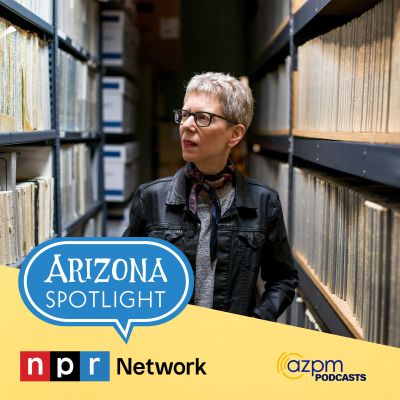 episode A conversation with NPR's best known voice: Terry Gross. artwork