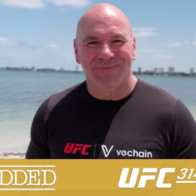 episode E5 UFC 314 Embedded (AMP'd) | #ufc #UFC314 #embedded artwork