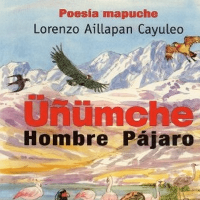 episode Tordo. Üñümche Hombre Pájaro. Poesía mapuche. Lorenzo Aillapan Cayuleo. Editorial Pehuén artwork