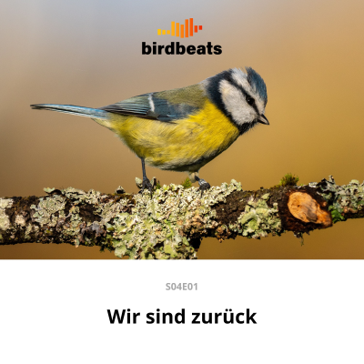 episode Es geht wieder los artwork