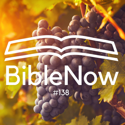 episode BibleNow #138: 4. Mose 13,1-14,25 artwork