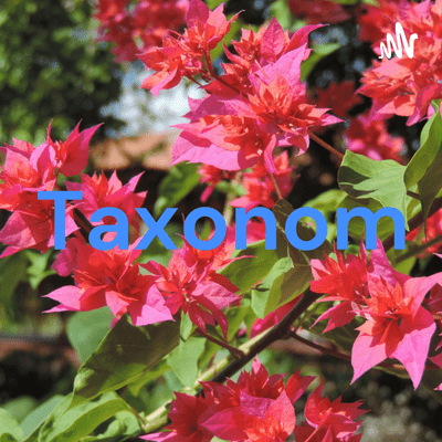 Taxonomia