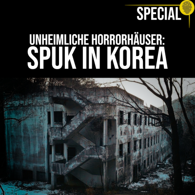 episode Nachts kann man hier Geister sehen? Koreas UNHEIMLICHSTE Spukhäuser | Crime Time SPECIAL artwork