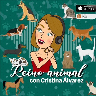 episode Educación Canina con Alfredo Rubira, educador y adiestrador canino artwork