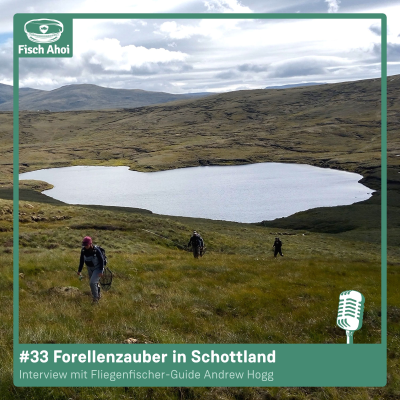 episode #33 Forellenzauber in Schottland (mit Andrew Hogg) artwork
