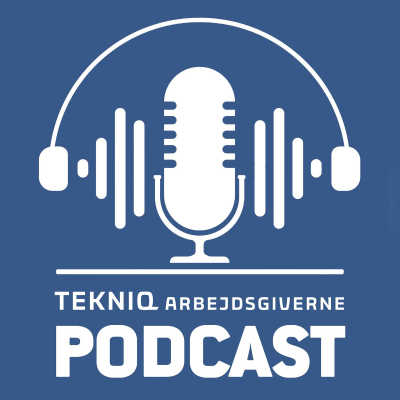episode Indlejring af vikarer artwork