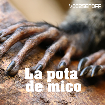episode La pota de mico - Podcast de ficción - Terror - Català artwork