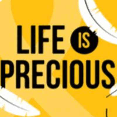 episode Life is Beautiful... Stop Suicide artwork