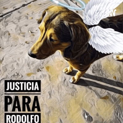Rodolfo corazón