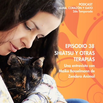 episode E.38: Shiatsu y otras terapias con Maike Bosselmann artwork