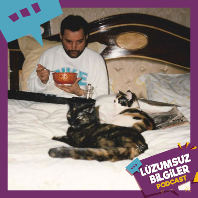 episode LP55 - Freddie Mercury'nin Kedisinin Sanat Eseri artwork