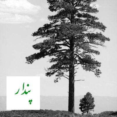 episode بلندای باشکوه بلوغ artwork