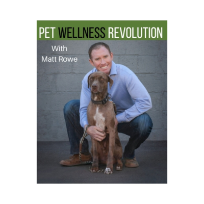 episode #7: Hottest New Technology: How to Easily Detect Diabetes in Your Pet artwork