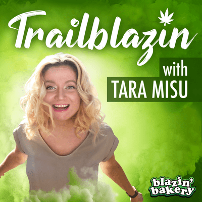 episode 16. Harry Brelsford - Cannabis Author, Technology Educator, Founder of 420MSP & SMB Nation artwork