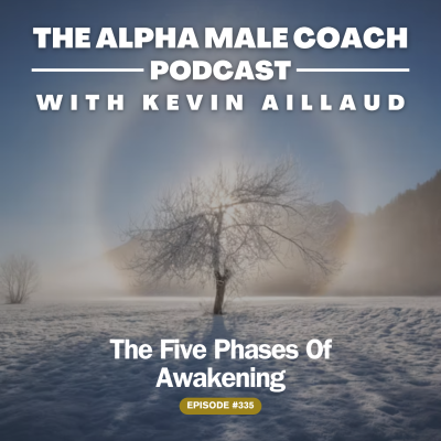 episode Episode 335: The Five Phases Of Awakening artwork