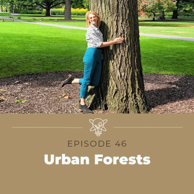 episode What’s an urban forest? artwork