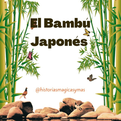 episode Episodio #29 El Bambú Japonés artwork