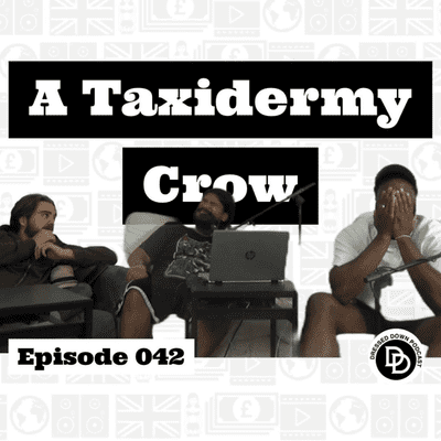 episode 042 | A Taxidermy Crow artwork