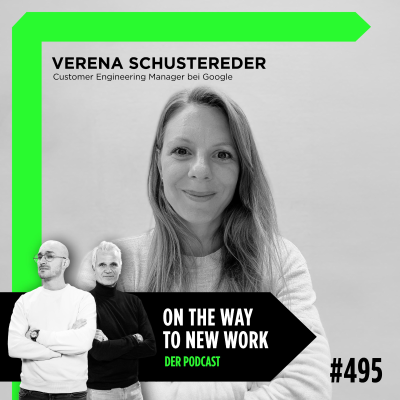 episode #495 Verena Schustereder | Customer Engineering Manager bei Google artwork