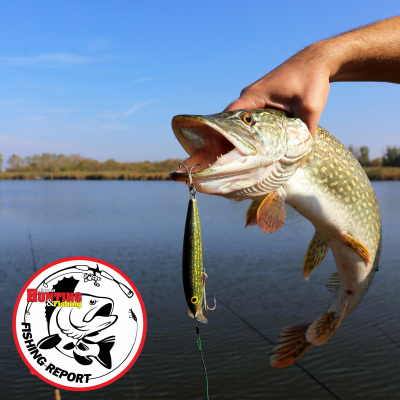 episode Fishing Report 09/07/17 artwork