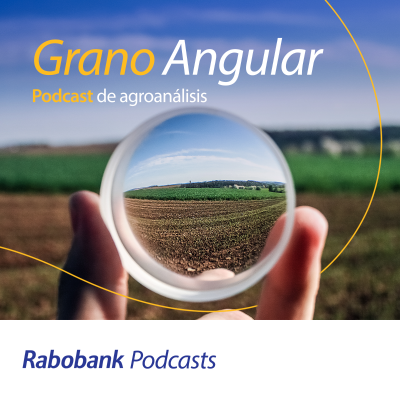 Grano Angular: Podcast de agroanálisis