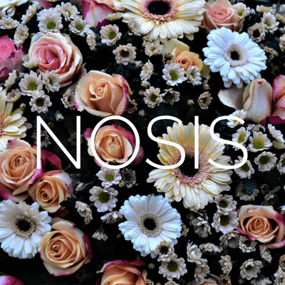 NOSIS