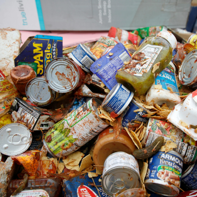 episode Food stamp rage bait artwork