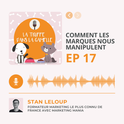 episode Comment les marques nous manipulent artwork