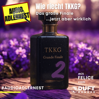 episode Wie riecht TKKG - Das große Finale...jetzt aber wirklich - Teil 2 - Audio Adlernest (#071) artwork