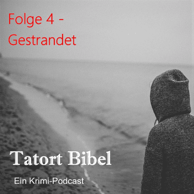 episode Gestrandet artwork
