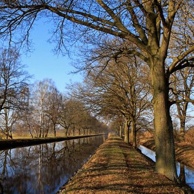 episode Ausflugstipp: Wandern und Radfahren in der Lewitz artwork