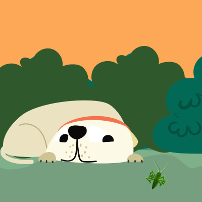 episode Cricket Sleep Sounds for Pets artwork