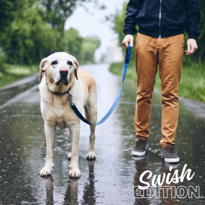 episode Fart Walks, Kidults, Rage Bait, AI Slop Recipes, and The Christmas Countdown artwork