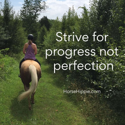 episode Progress towards your goal is the Goal artwork