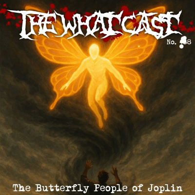 episode The What Cast #488 - The Butterfly People Of Joplin artwork